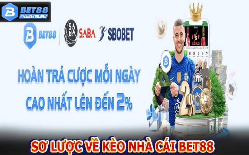 Cẩm nang sơ lược về kèo nhà cái bet88