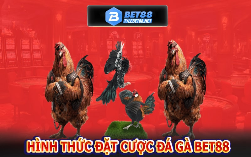 Hình thức đặt cược của sàn đá gà bet88