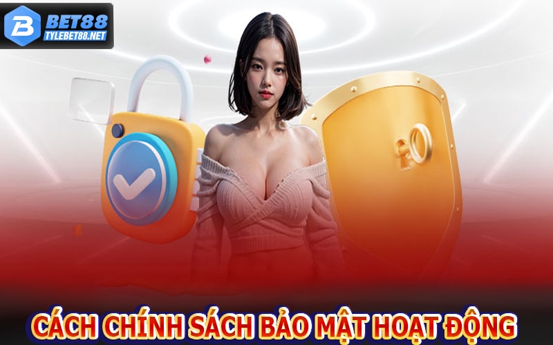 Hình thức hoạt động của chính sách bảo mật bet88