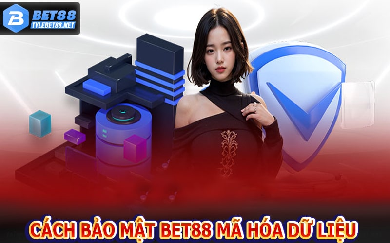 Cách thức mà chính sách bảo mật bet88 mã hóa dữ liệu
