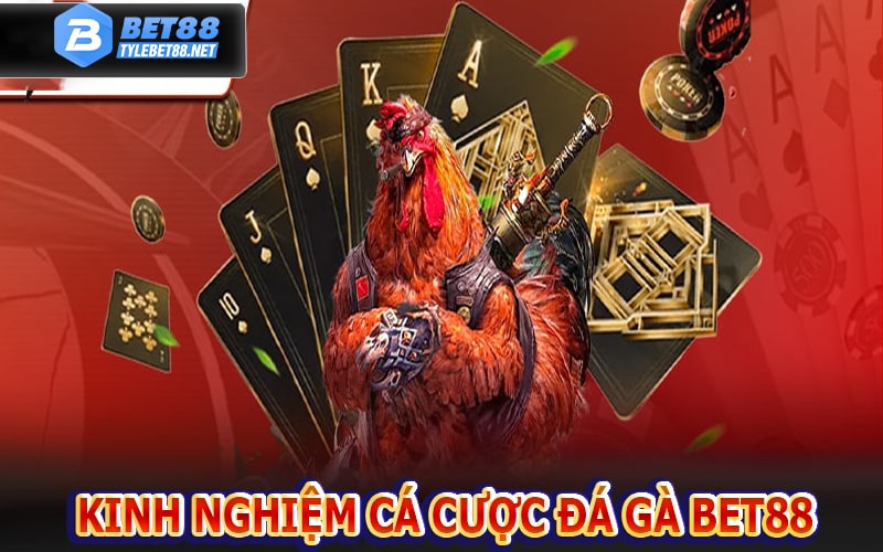 Kinh nghiệm cá cược đá gà bet88